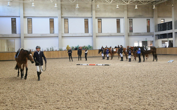 0C5A3007_1-001牽馬演示.JPG
