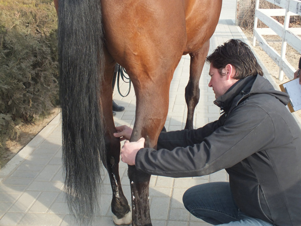 DSCF5155_1文圖二.JPG