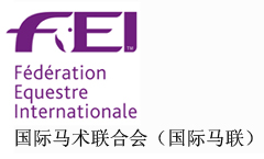 FEI_LOGO副本.jpg