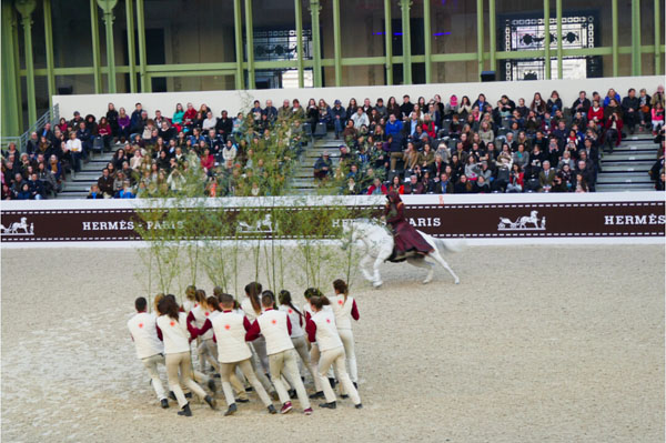 19 La Nature au Galop? by Bartabas--.jpg