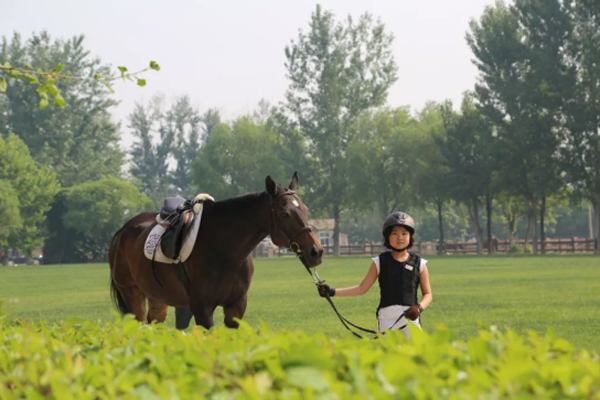 2018.5.23天星CAMP丨學到快樂，玩到精通！暑假里一場專業馬術游戲！85.png
